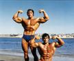 Arnold Schwarzenegger