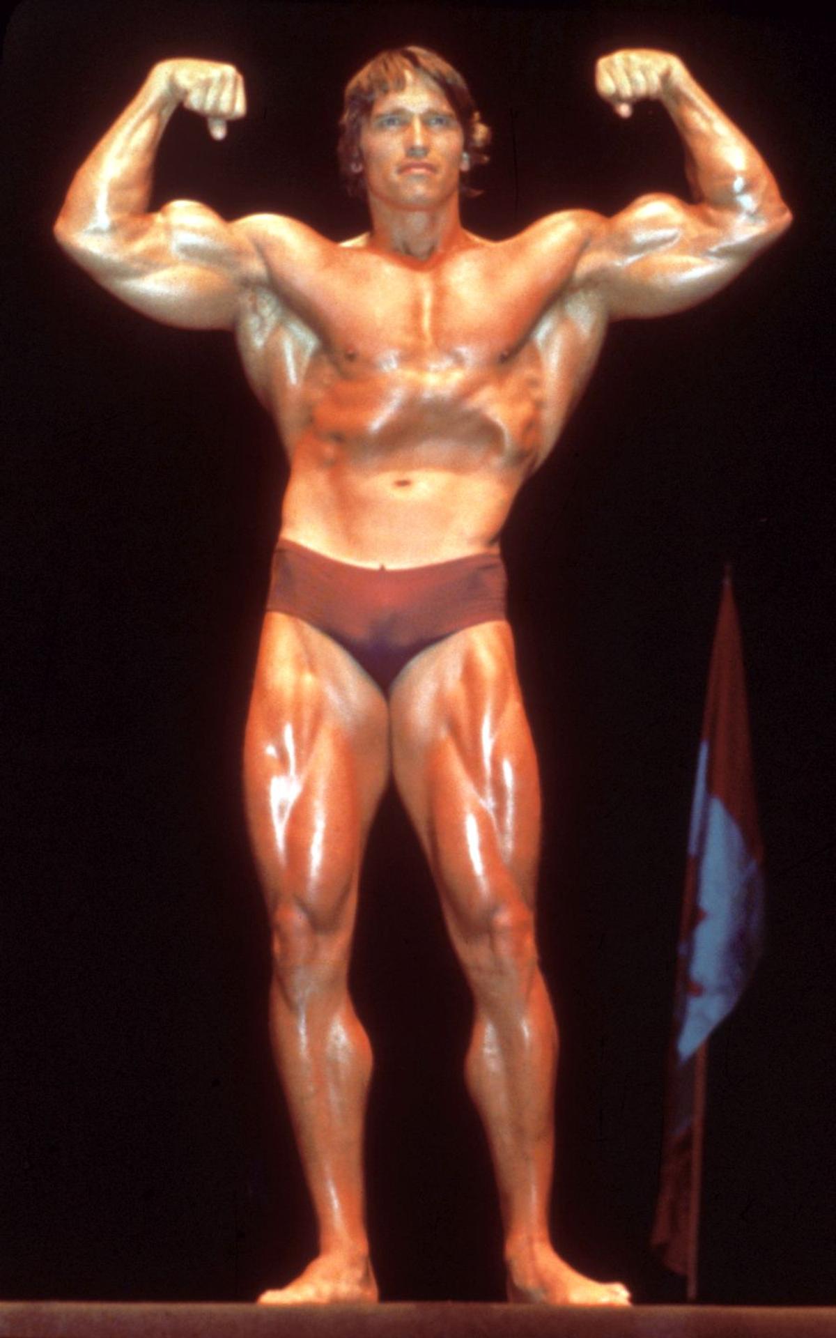 Final de coșmar pentru Arnold Schwarzenegger la Munchen » Reținut și șicanat 3 ore, și-a lăsat partenera drept garanție că se întoarce! „Nemții nu mai văd pădurea de copaci”