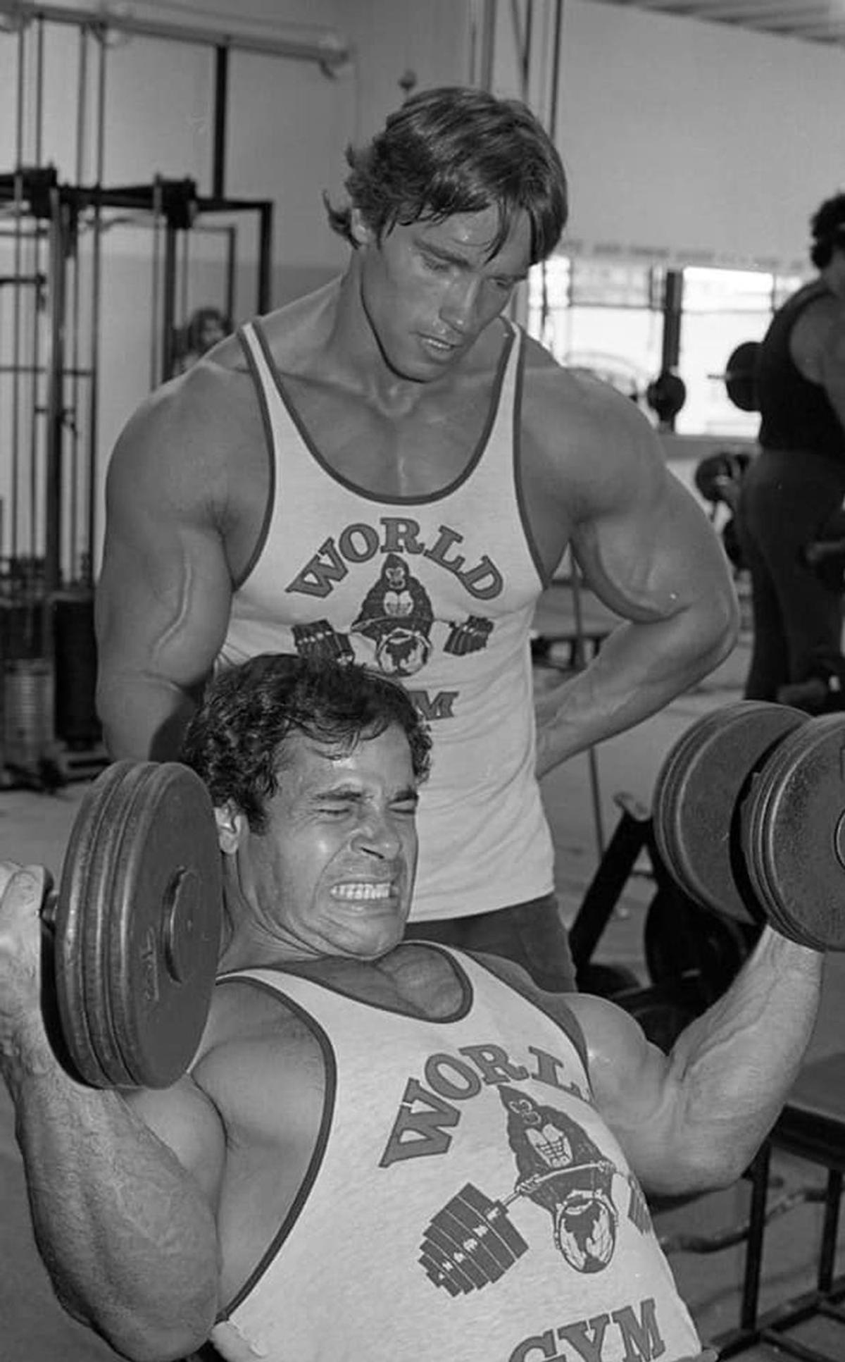 Final de coșmar pentru Arnold Schwarzenegger la Munchen » Reținut și șicanat 3 ore, și-a lăsat partenera drept garanție că se întoarce! „Nemții nu mai văd pădurea de copaci”