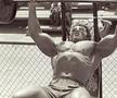 Arnold Schwarzenegger