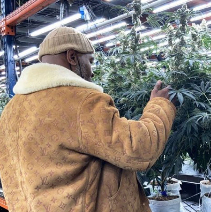 Tyson, în Colorado Mike Tyson s-a pozat cu un sac imens de marijuana în brațe » A strâns un milion de like-uri
