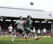 Fulham - Spurs