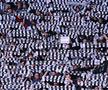 Liverpool - Newcastle
