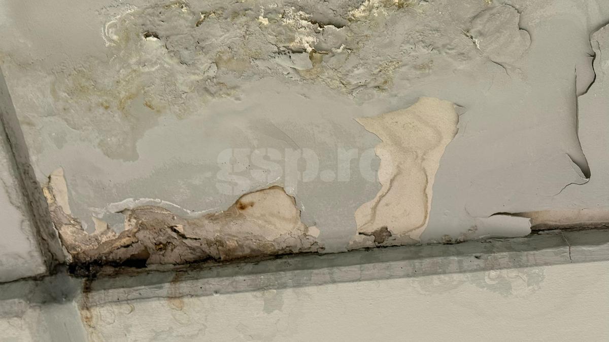 Imagini uluitoare: cum arată lojele Arenei Naționale
