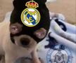 Real Madrid, ironizată după eliminarea din Liga Campionilor » Cele mai tari glume apărute pe internet