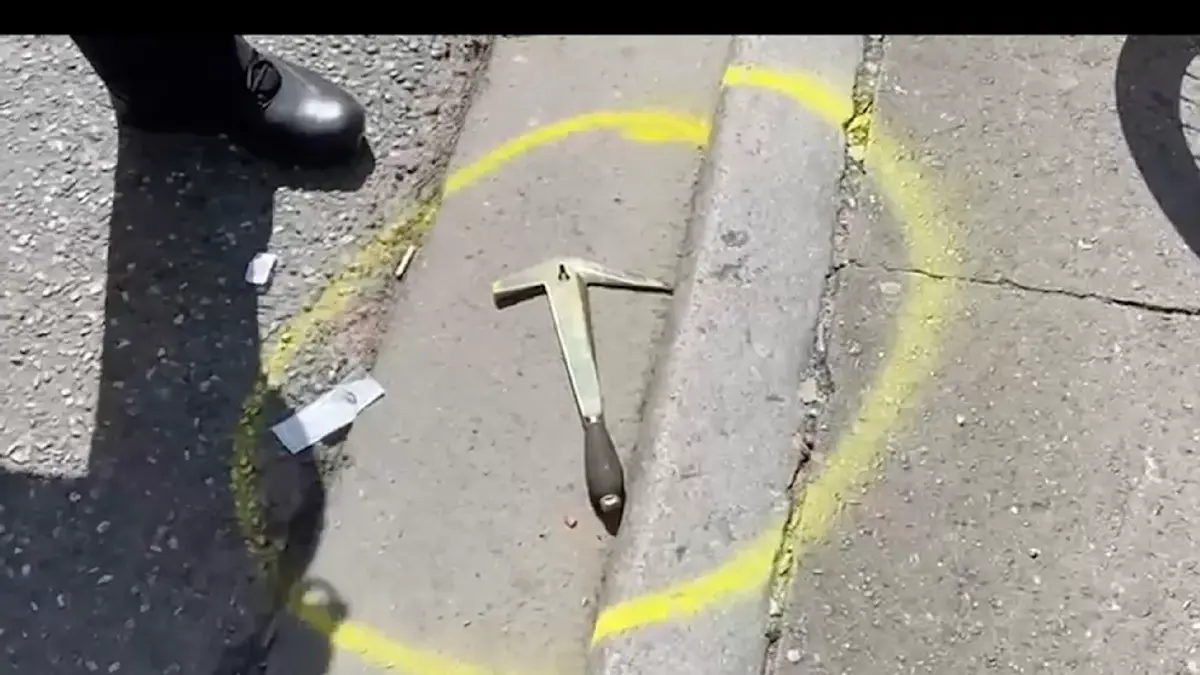 Incident major la Hamburg! A încercat să atace fanii cu un topor și a fost împușcat de Poliție, înainte de Polonia - Olanda