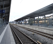 „Tricolorii” au plecat spre Munchen / Foto: GSP