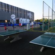 MOL Aréna din Dunajská Streda FOTO: Ionuţ Iordache (GSP)