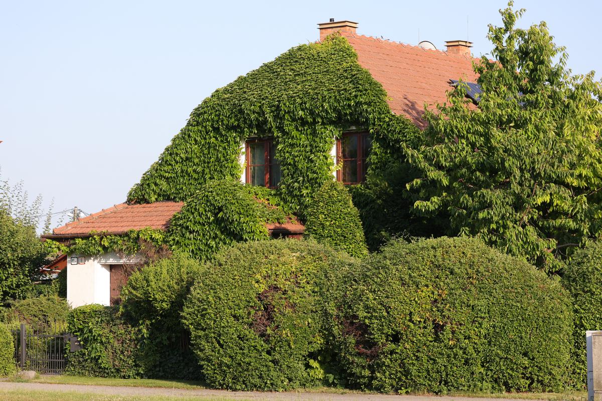 Dunajska Streda, între tranziție și moftul lui Viktor Orban » Ce am întâlnit în orașul slovac de lângă granița cu Ungaria: singurul lucru care iese din tipare