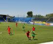 FCSB Academia Clinceni - Dinamo, liveTEXT pe GSP.ro