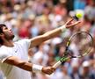 Novak Djokovic - Carlos Alcaraz, finala de la Wimbledon 2023