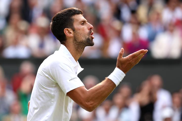 Novak Djokovic - Carlos Alcaraz, finala de la Wimbledon 2023