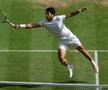 Novak Djokovic - Carlos Alcaraz, finala de la Wimbledon 2023