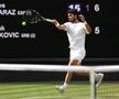 Novak Djokovic - Carlos Alcaraz, finala de la Wimbledon 2023