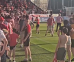 Scene îngrozitoare în timpului meciului din Europa League » În urletele copiilor speriați, suporterii au fugit pe gazon de teama ultrașilor