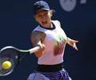 Simona Halep, finală WTA Praga