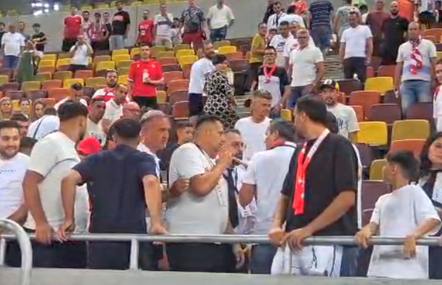 Scandal după Dinamo - UTA » Jandarmeria caută un suporter