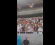 Scandal după Dinamo - UTA » Jandarmeria caută un suporter