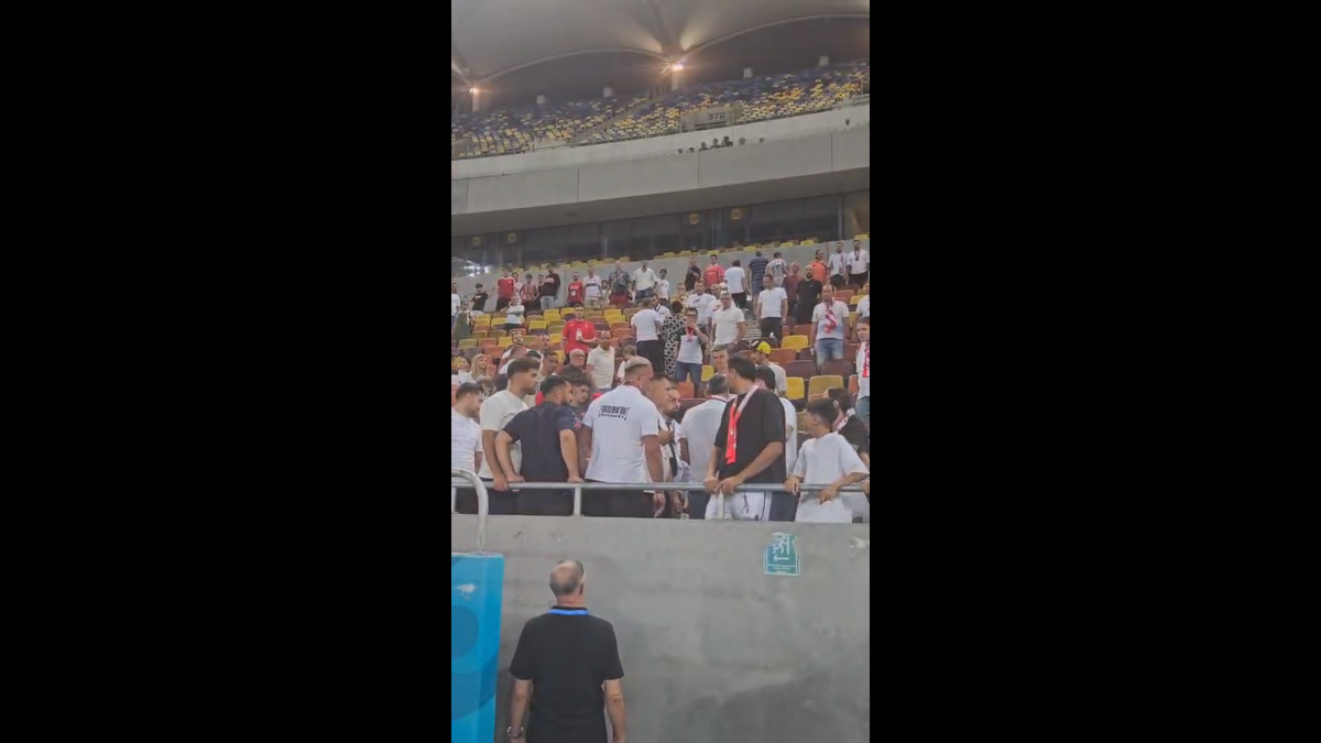 Scandal după Dinamo - UTA » Jandarmeria caută un suporter