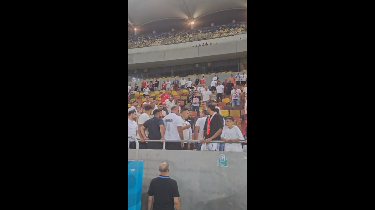 Scandal după Dinamo - UTA » Jandarmeria caută un suporter