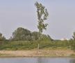 Senta - locul unde se joacă Topola - FCSB