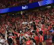 Benfica - Qarabag, cadre de Ionuț Iordache (GSP)