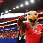 Benfica - Qarabag, cadre de Ionuț Iordache (GSP)