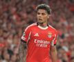 Benfica - Qarabag, cadre de Ionuț Iordache (GSP)