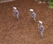 Jurassic World