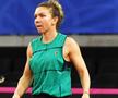 Simona Halep speră că suspendarea de patru ani îi va fi micșorată la TAS / FOTO: Raed Krishan