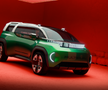 FIAT Multiplay