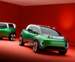 FIAT Multiplay