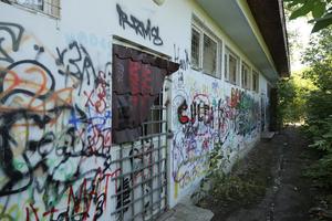 Stadionul din România, caz de Dosarele X! Poarta de acces? O spărtură într-un zid de beton