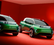 FIAT Multiplay