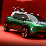 FIAT Multiplay