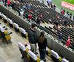 Dinamo - FC Botoșani, imagini înainte de meci