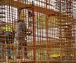 Sala Polivalentă Pitești construcție