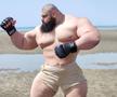 Lupta luptelor s-a amânat. „Cel mai înfricoșător om din lume” nu se va bate cu „Hulk iranianul”