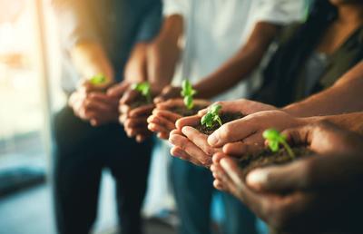 De ce este consultanța de mediu esențială pentru companiile din industria alimentară?