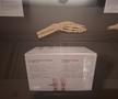 Expoziția Body Worlds Vitals de la București