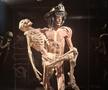 Expoziția Body Worlds Vitals de la București