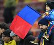 FCSB - FC Hermannstadt, 17.01.2025