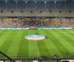 FCSB - FC Hermannstadt, 17.01.2025