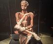 Expoziția Body Worlds Vitals de la București