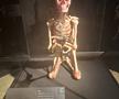 Expoziția Body Worlds Vitals de la București