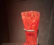 Expoziția Body Worlds Vitals de la București