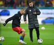 FCSB - FC Hermannstadt, 17.01.2025