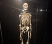 Expoziția Body Worlds Vitals de la București