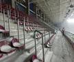 Cum arată gazonul de pe Giulești înainte de Rapid - Botoșani