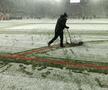 Imagini înainte de Rapid - Botoșani, runda #27 din Superliga